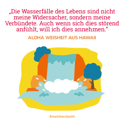 ei_zitat_w13_b